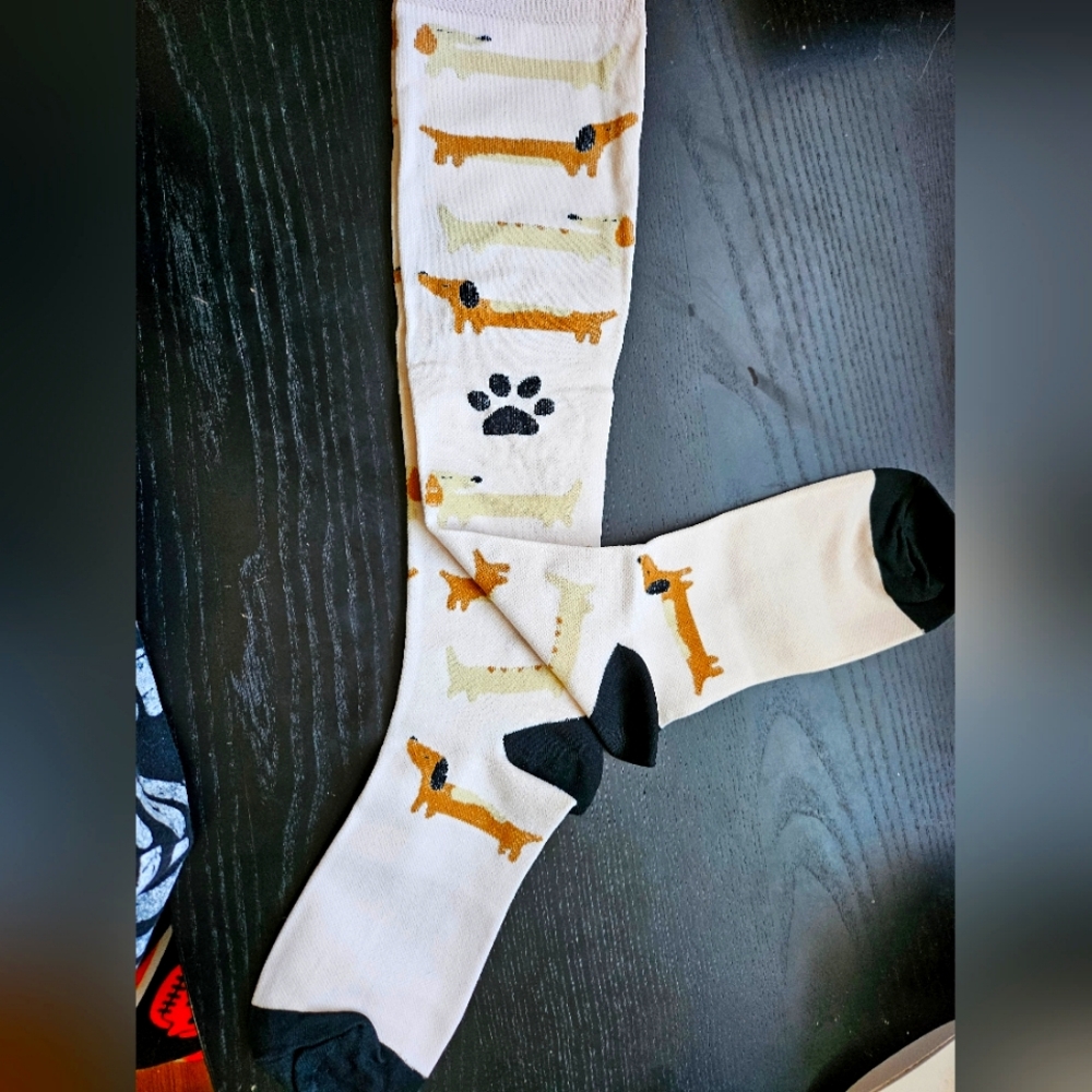 Dachshund knee high socks